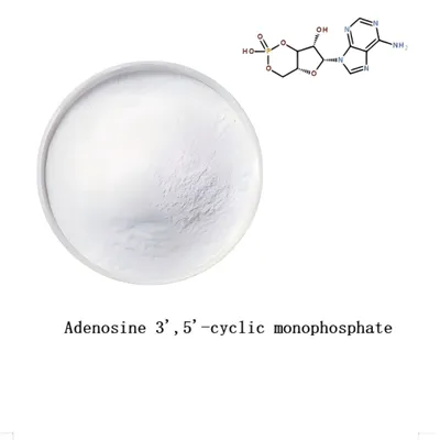 أدينوزين 3 '، 5'monophosphate